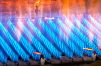 Tamworth gas fired boilers